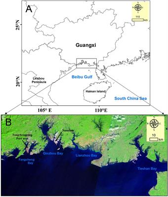 Spatio-temporal changes and driving forces of reclamation based on remote sensing: A case study of the Guangxi Beibu Gulf